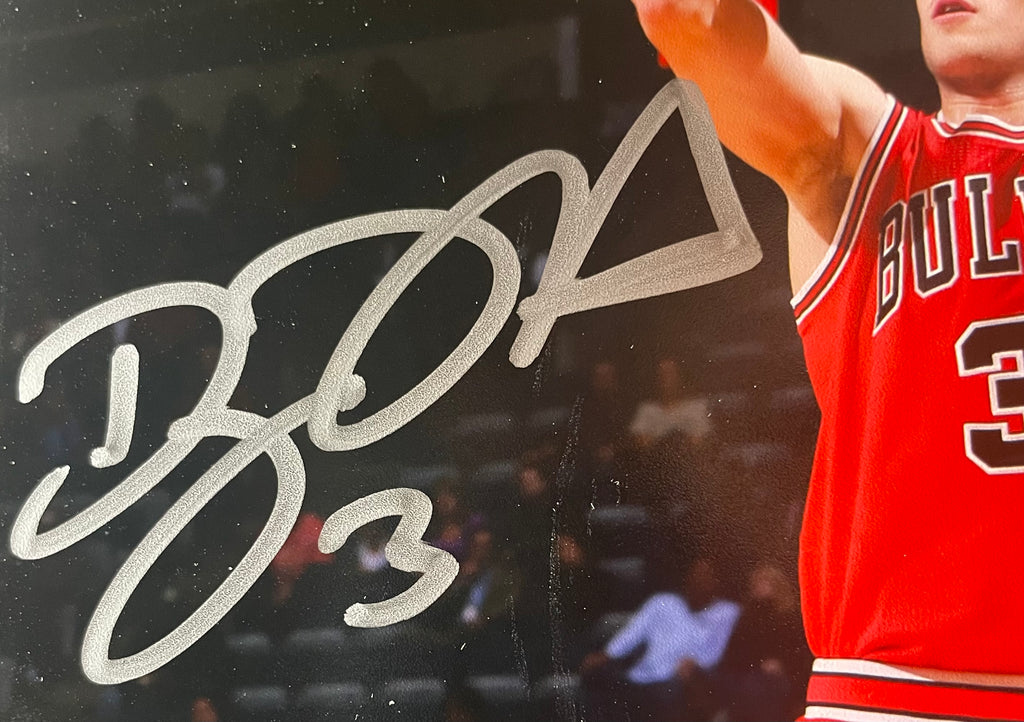 Doug McDermott Autographed 8x10 Photograph - Schwartz Certified