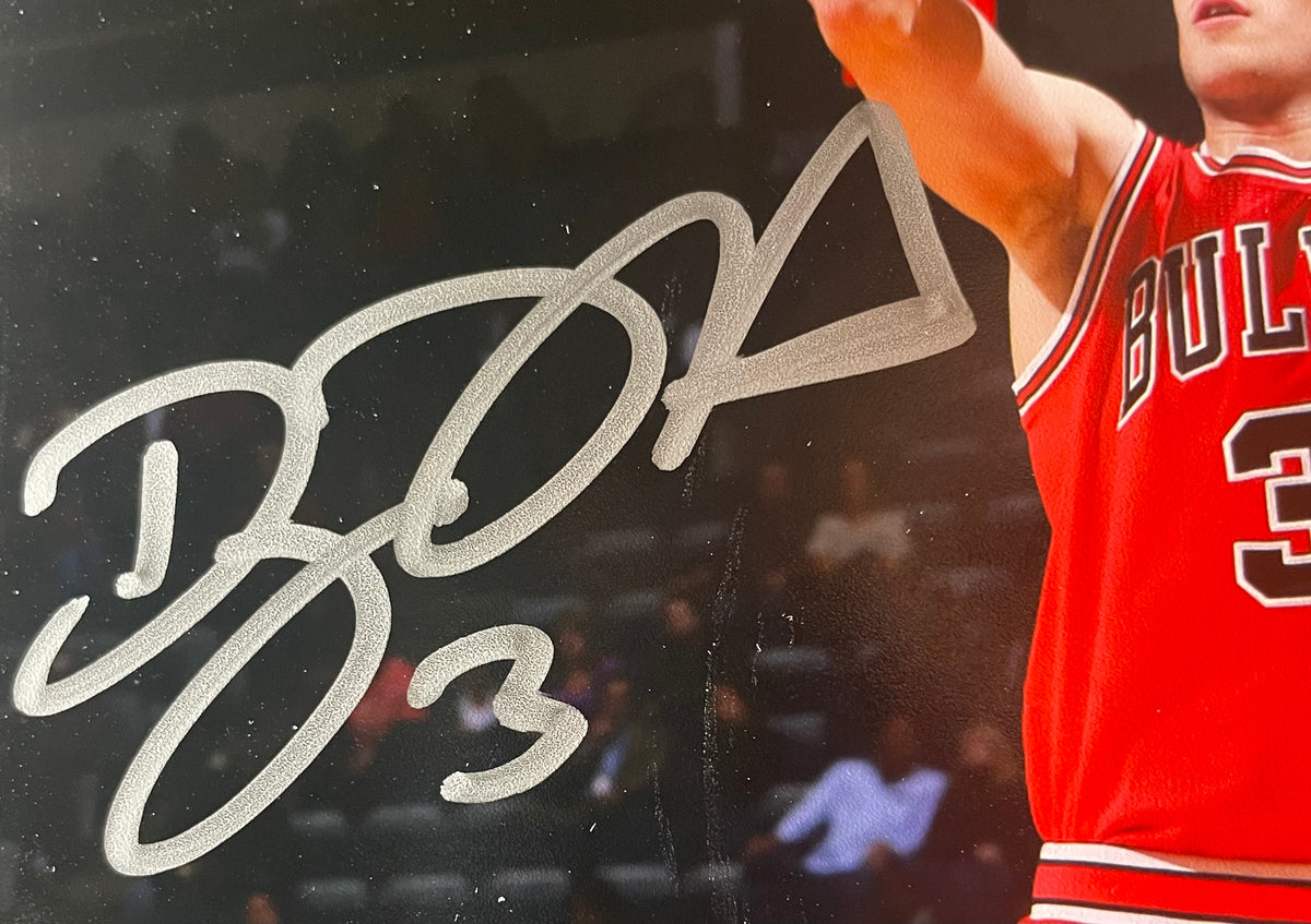 Doug McDermott Autographed 8x10 Photograph - Schwartz Certified