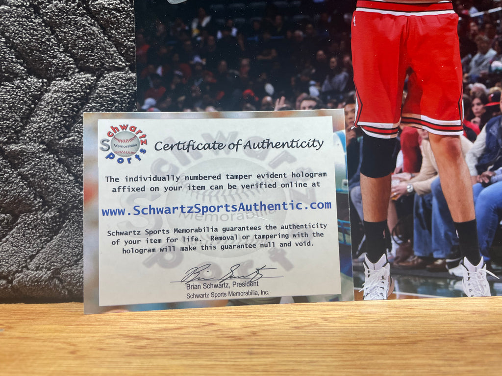 Doug McDermott Autographed 8x10 Photograph - Schwartz Certified