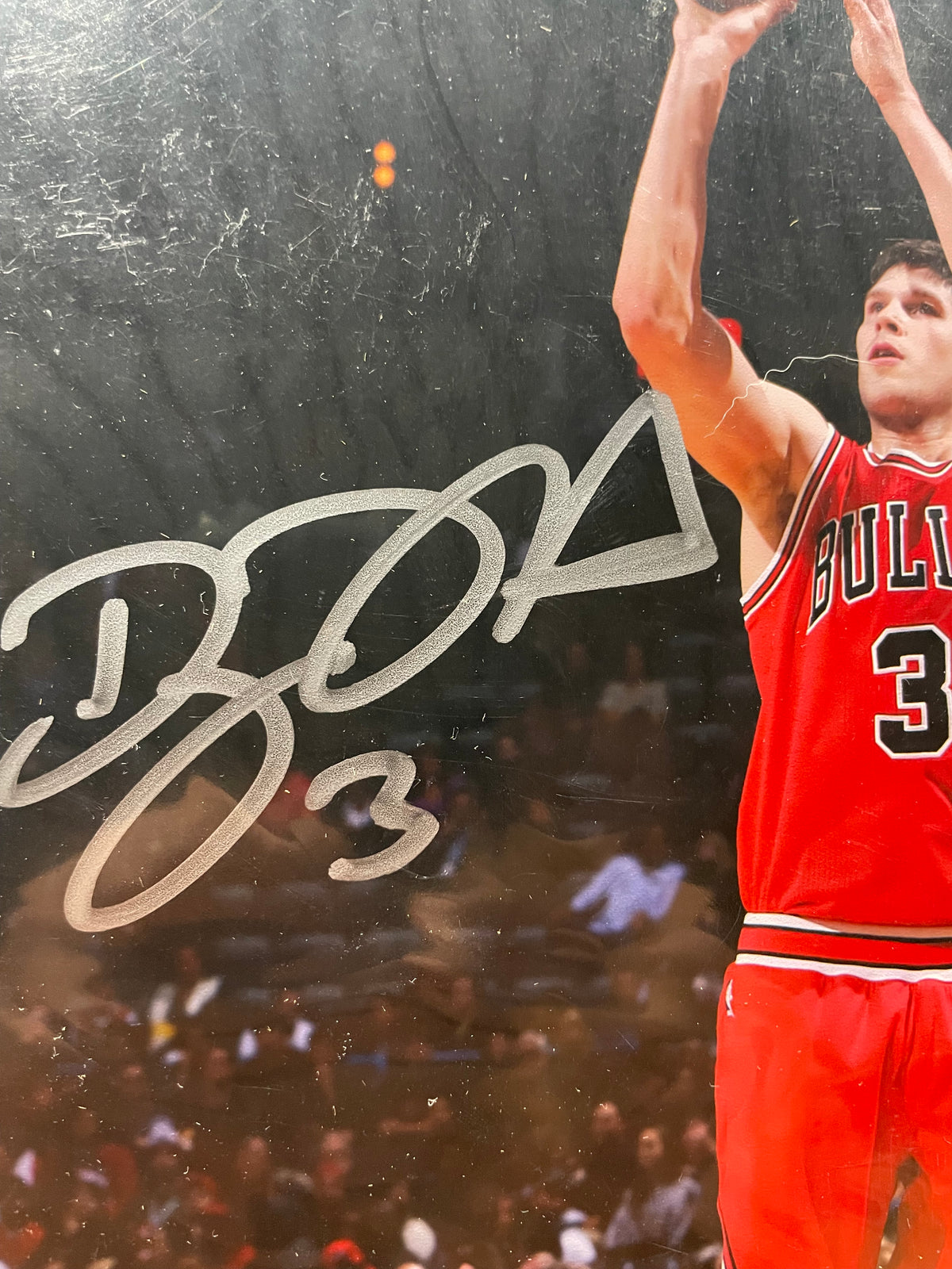 Doug McDermott Autographed 8x10 Photograph-Schwartz Hologram and Certificate of Authenticity